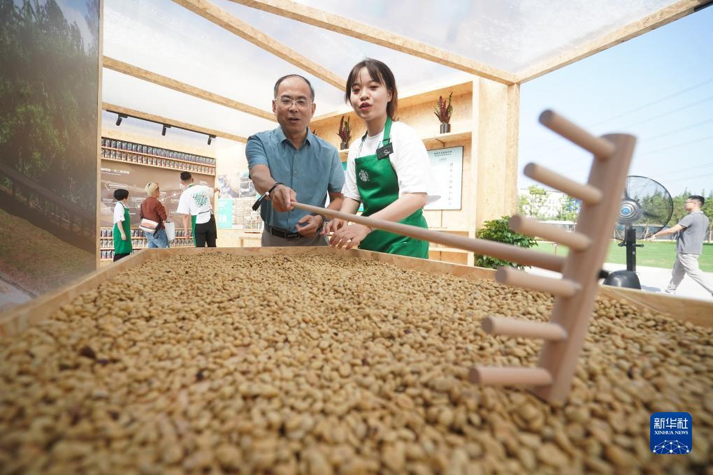 捕鱼游戏电脑版在线下载